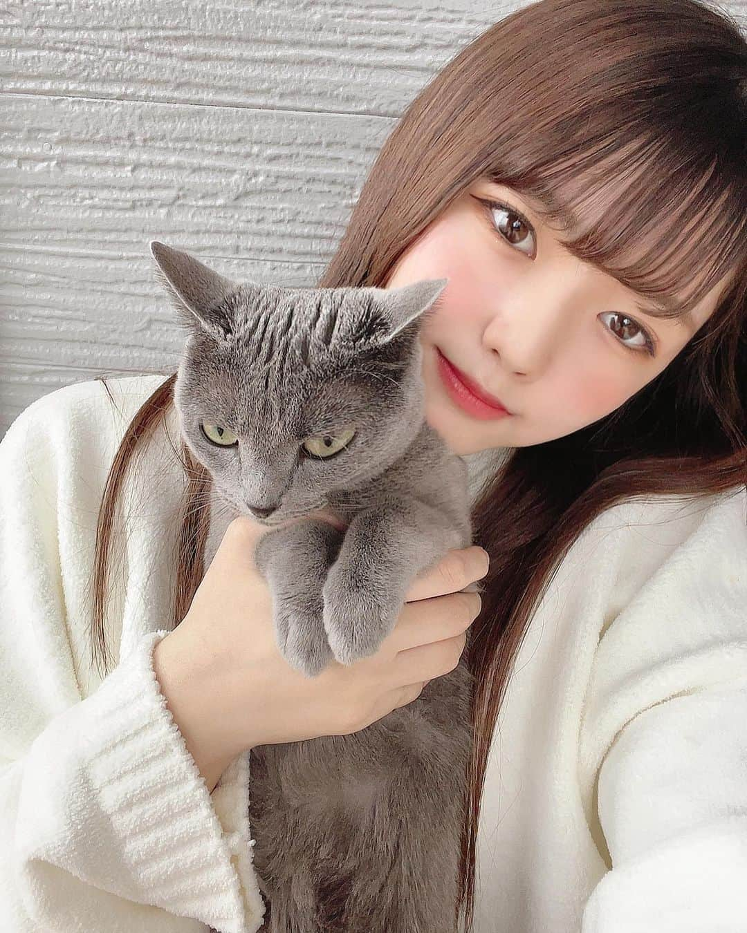 月愛きららさんのインスタグラム写真 - (月愛きららInstagram)「みるくにゃん②  みんなたくさんコメント嬉しいよう☺️ 全部見てるからねー♡♡」1月24日 21時13分 - kiraten___