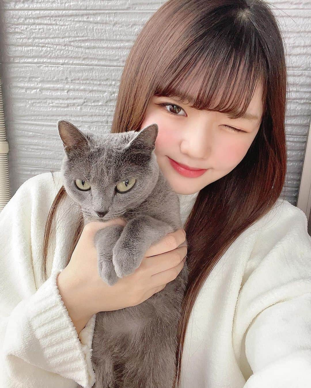 月愛きららさんのインスタグラム写真 - (月愛きららInstagram)「みるくにゃん②  みんなたくさんコメント嬉しいよう☺️ 全部見てるからねー♡♡」1月24日 21時13分 - kiraten___