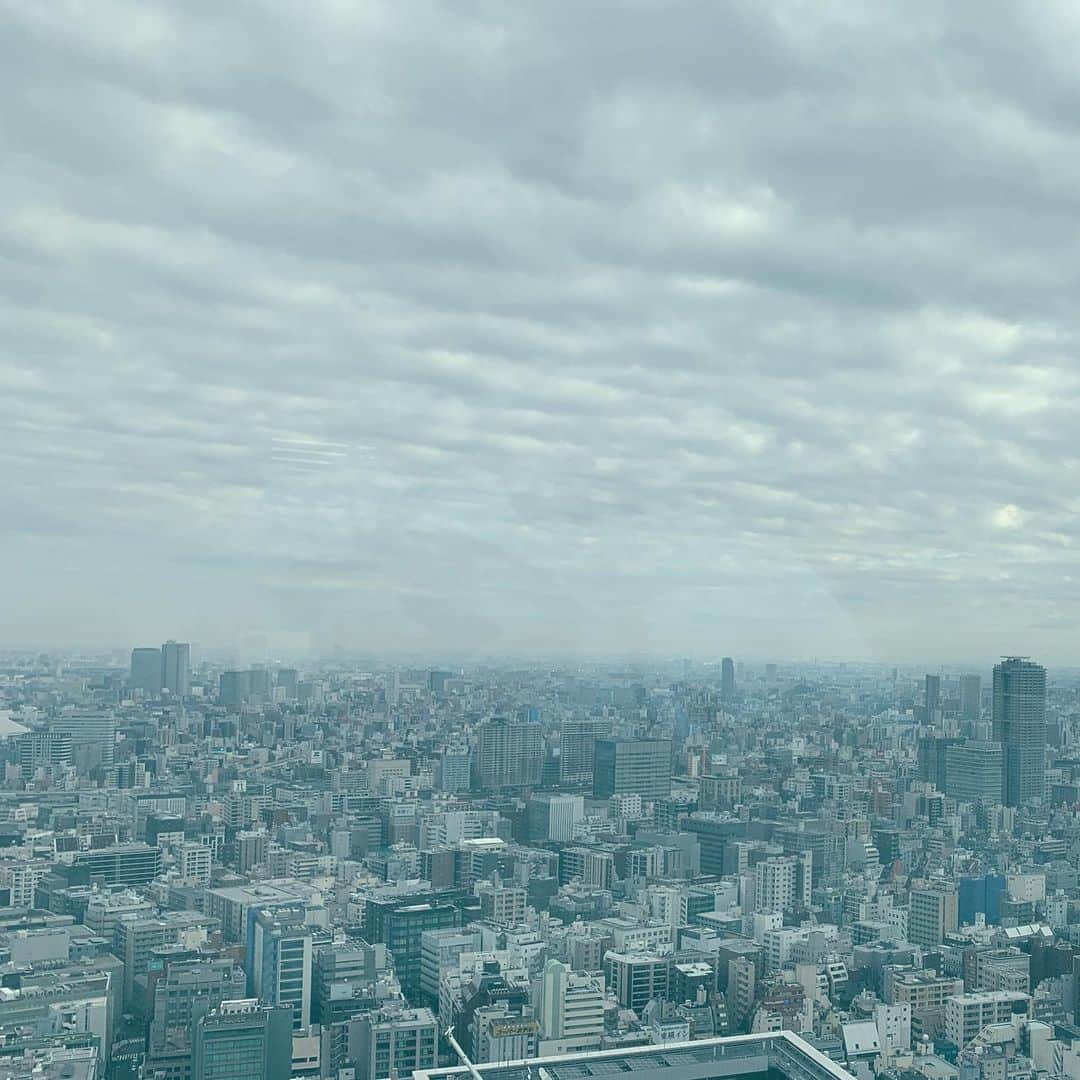 田中彩子さんのインスタグラム写真 - (田中彩子Instagram)「Big city #tokyo looks a bit sad. Needs more green. ブラジルの街を飛行機から見下ろした時に緑が一切見えなくて結構衝撃を受けましたが東京もでした。 これからは近代化＝緑がいっぱいという風になって欲しいです。」1月24日 21時26分 - ayakotanaka_instaofficial