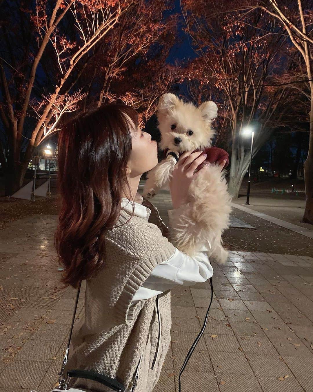 柏元萌華のインスタグラム：「ティアしかかたん！！ という感じで毎日やらせてもろて🐶🐶😂💞笑 #マルポメ#ミックス犬 #親バカ部 #わんこのいる生活 #ふわもこ部 #紅葉#シミラールック」