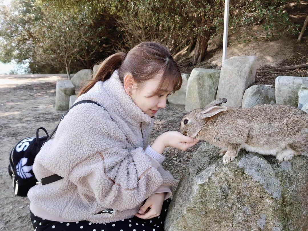 松本慈子さんのインスタグラム写真 - (松本慈子Instagram)「* じーーー🐰🐰🐰  #うさぎ島 #大久野島 #瀬戸内 #過去pic #rabbit #rabbitiland #rabbitstagram」1月24日 21時45分 - chikako_1119