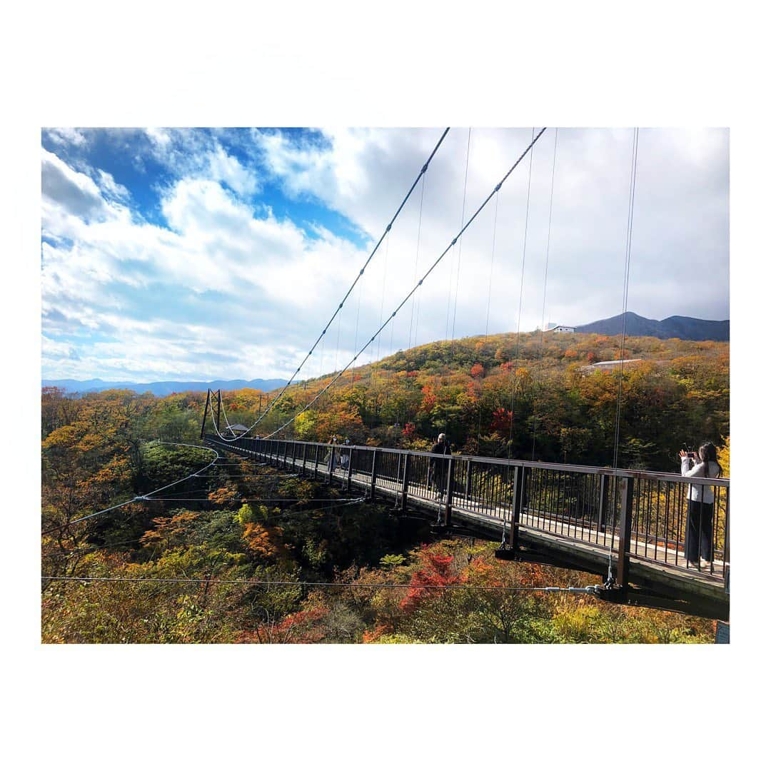 髙田知里のインスタグラム：「・ ✨吊り橋巡り✨ ・ #紅葉#つつじ橋の紅葉 #旅行#橋#休日の過ごし方 #楽しい時間 #吊り橋 #栃木観光」