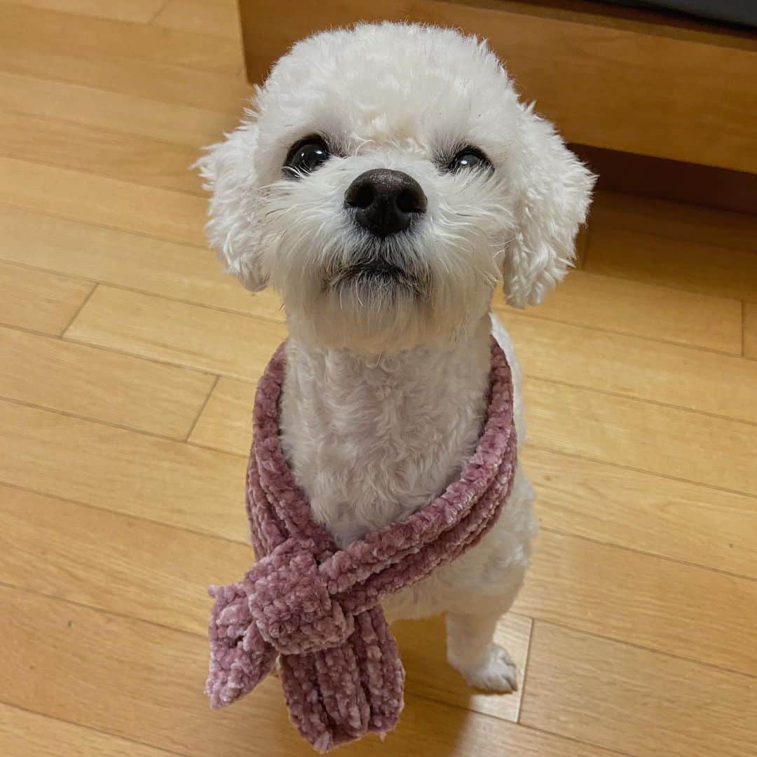 イ・ハウンのインスタグラム：「아가야 이렇게 귀여울 일이니ㅜㅜㅜ(마지막사진은 좀 웃김)」