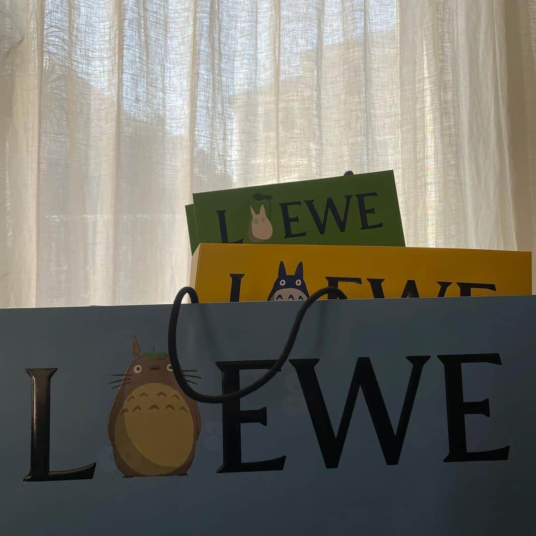 水野里砂のインスタグラム：「My Totoro🤤💙💛💚  　 #totoro#loewe#gibli」