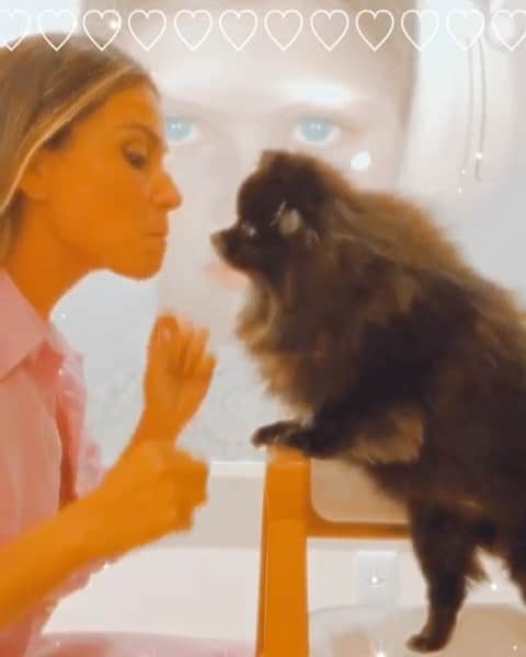 Giovanna Antonelliのインスタグラム：「Versão frustrada de 'dama e vagabundo'. Nesse caso por um ' fiapinho' de nabo! Mas cheia de amor.....😂 🐕❤️」