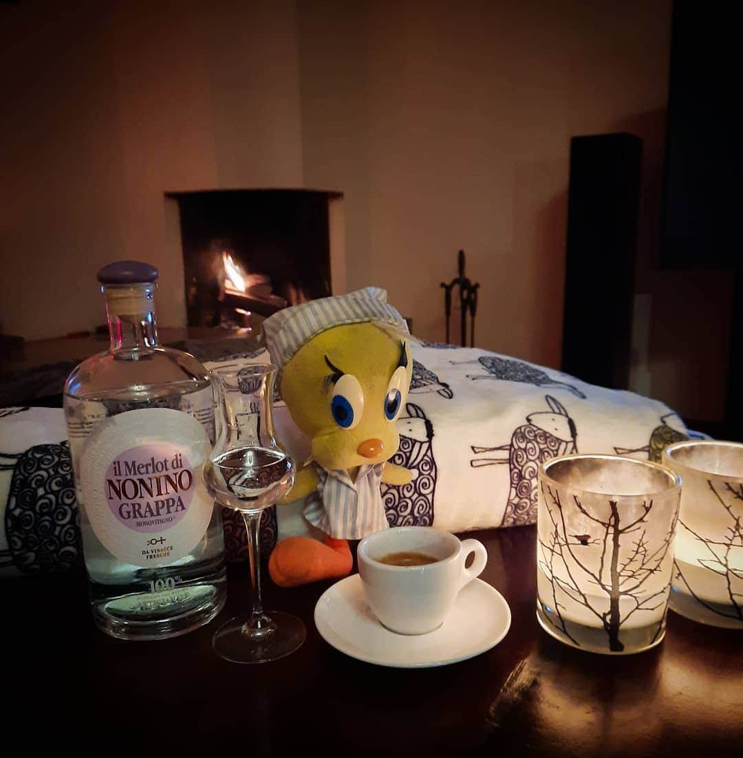 Little Yellow Birdさんのインスタグラム写真 - (Little Yellow BirdInstagram)「Me and my grappa wish you a good Sunday! #littleyellowbird #tweety #tweetykweelapis #adventures #yellow #bird #weekend #sunday #sundayevening #happyhour #fireplace #woodfire #openhaard #haardvuur #winter #january #grappa #nonino #stuffedanimalsofinstagram #plushiesofinstagram」1月24日 23時22分 - tweetykweelapis