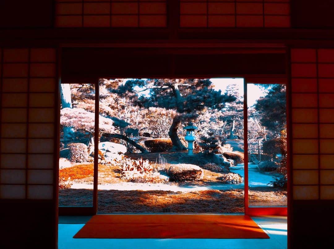 ピエール中野さんのインスタグラム写真 - (ピエール中野Instagram)「shigure-tei」1月25日 0時24分 - pinakano0718
