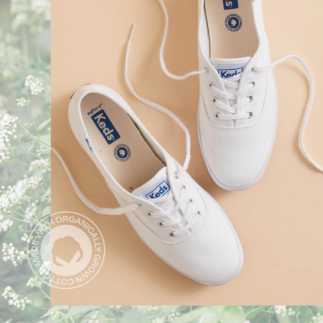 Kedsのインスタグラム：「This just in: Keds Champion sneaker in organic cotton canvas! The iconic style you love, now with a lighter footprint. Only on Keds.com」