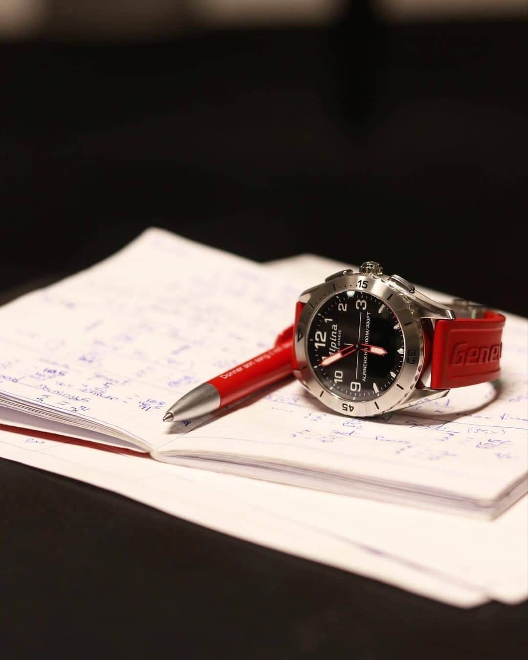 アルピナのインスタグラム