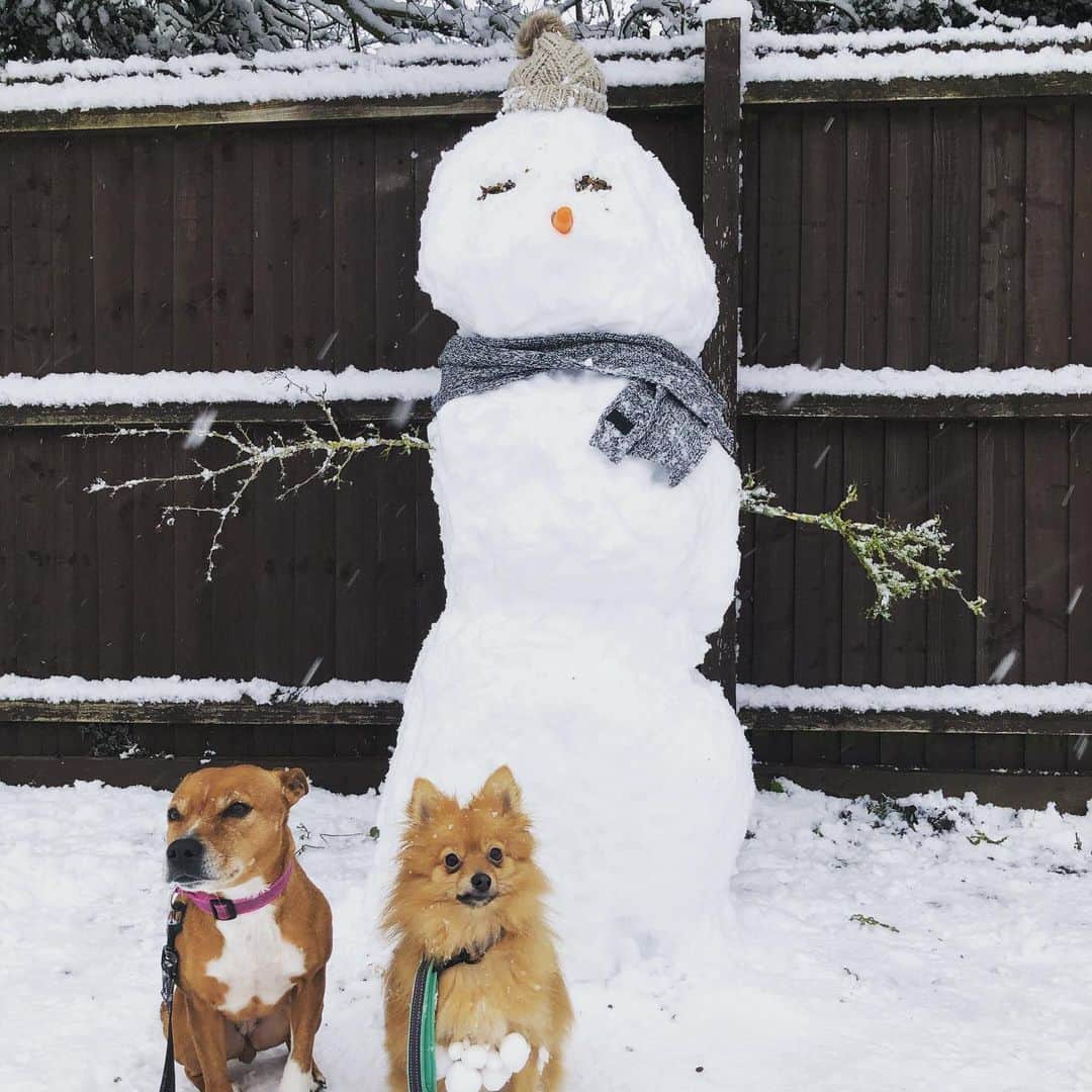 ザイヤ・ブルックサイドさんのインスタグラム写真 - (ザイヤ・ブルックサイドInstagram)「Do you wanna build a snowman? ⛄️」1月25日 1時20分 - xiabrookside