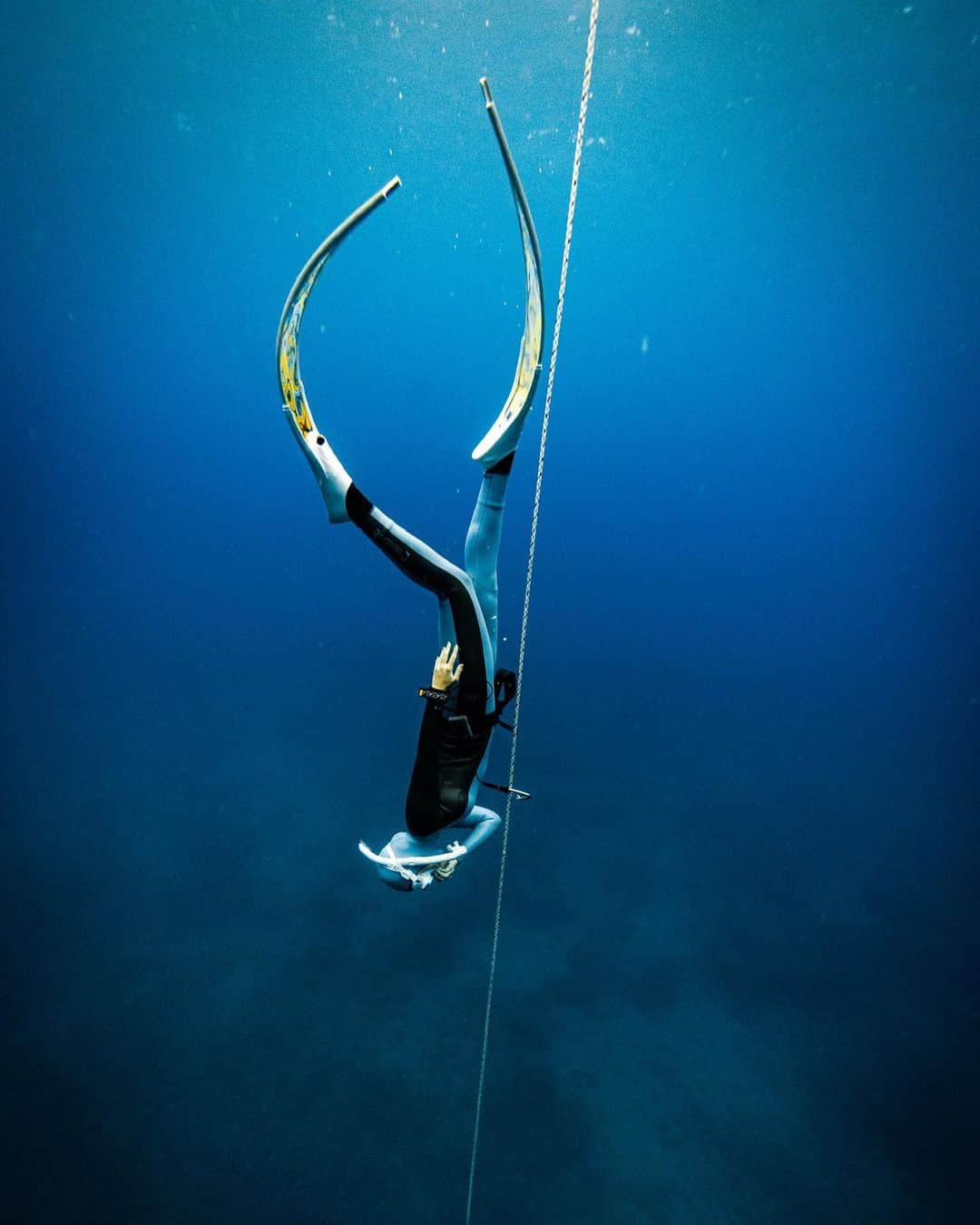 LuCyCoのインスタグラム：「🌎  PADI FreeDiver認定🤿 @okinawa_clown.crown   CWT 11.7m STA  2:58 DYN  50m  夏には30mいきたいなぁ 30mの世界見たいなぁ  こんなに深く潜ったことないし、 まさか自分がフリーダイビングやるとは思っていなかったけど  じつは1年前にフリーダイビングの素敵な動画をYoutubeでみて、 衝撃うけて保存していたのだなぁ  すべては繋がっていると思える出来事🌎  耳抜きが苦手すぎる衝撃。笑  自分ひとりしかない無の空間と時間。  海の中で呼吸をしている錯覚。  不思議な世界！ もっと知りたい！  自然が自分を知る手助けしてくれてるのだ。ありがとう〜♥️🌎  #love #okinawa #海の中なら飛べる #loves_okinawa  #海が好きな人と繋がりたい #素潜り女子#海がある生活#다이빙#스킨다이빙#bestphoto_japan  #freediving #skindiving #divermag  #水中写真#bestfreedivegear  #おきなわ気分」