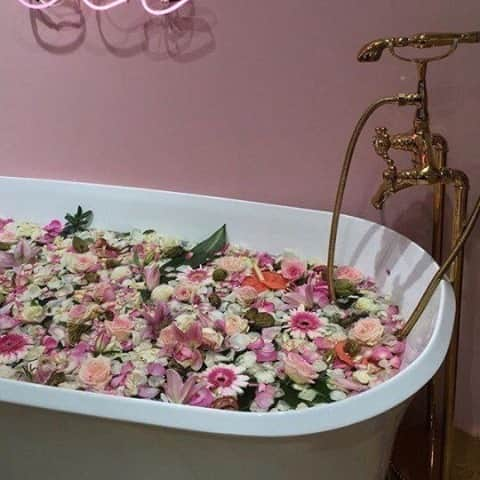 ワイルドフォックスクチュールさんのインスタグラム写真 - (ワイルドフォックスクチュールInstagram)「Find us here for the night 🌹 #wildfoxcouture #selfcare #dreambath #flowerbath #treatyoself⁠ ⁠ PC: @Arina on Pinterest」1月25日 11時01分 - wildfoxcouture