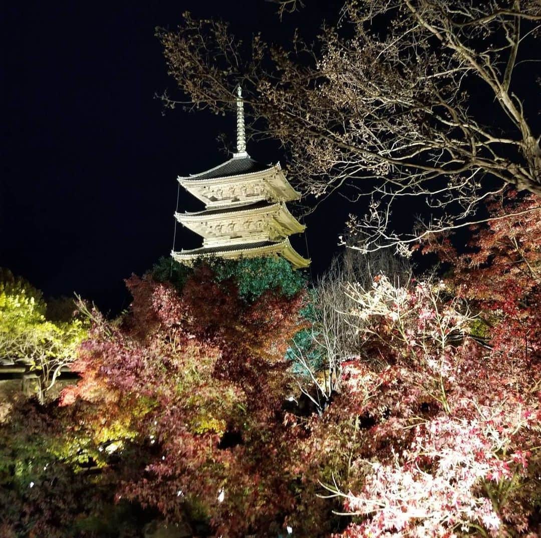 田川寿美のインスタグラム：「2019年の年末に ロケ番組の収録で京都に行きました。 収録後の夜、 東寺がライトアップされていると聞き、慌てて駆けつけると 昼間の東寺とは、また違った 素晴らしい世界に出会えました。 また行きたいな～😆  #京都 #東寺 #ライトアップ #神社 #神社巡り #神社好き」