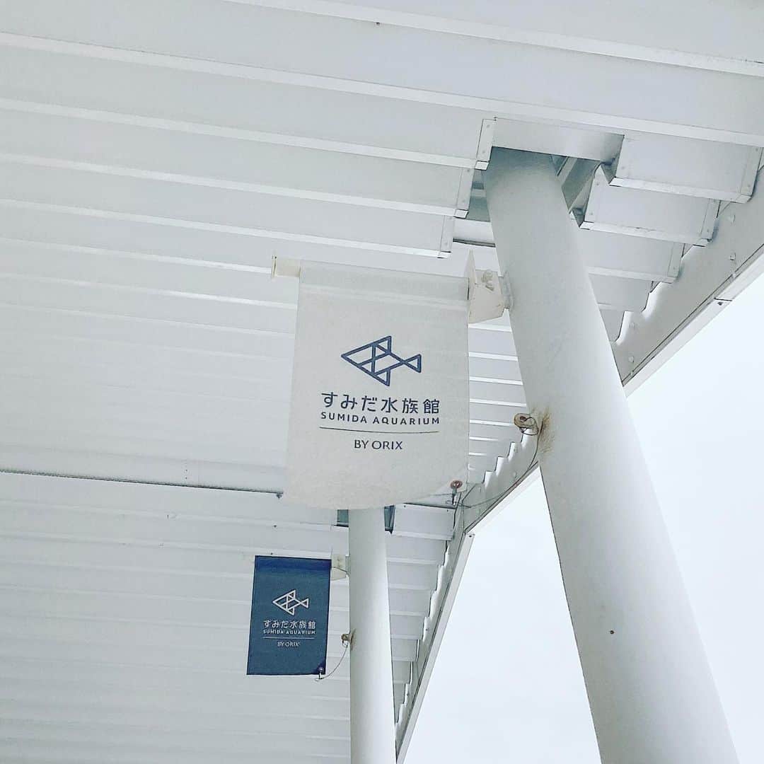 谷口朝香さんのインスタグラム写真 - (谷口朝香Instagram)「はじめてのすみだ水族館🐟 とってもよかった！」1月25日 11時31分 - asamaru.jp