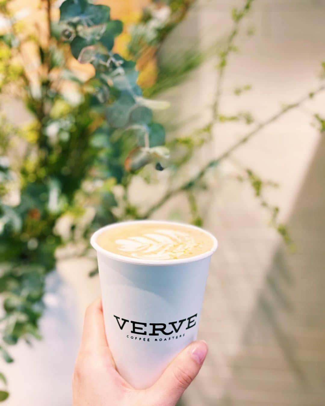 七野李冴さんのインスタグラム写真 - (七野李冴Instagram)「Coffee break @vervecoffeejapan ☕︎  ずっと行ってみたかったコーヒー屋さんへ。なんとこちらは金木犀ラテ！ラテっていつも2cmくらい残しちゃうんだけど、これは優しい甘さと金木犀の香りですぐに飲み切ってしまったほど、おいしかった…♡ 金木犀ラテなんて、センスあり過ぎます。  先日「これがコーヒーブレイクか」と心から思える日がありまして…バタバタと動きまくったあと、ふぅっとひと息カフェに座りコーヒーを飲み、その1日のバタバタと緊張感がほぐれていく感じを実感。 コーヒー屋さん。いつも優し香りとあたたかさをありがとう♡  #coffeetime #coffeelover #coffee #coffeebreak #coffeeshop #flower #coffeeshop #vervecoffeeroasters #roppongi #cafe」1月25日 11時54分 - risaaxoxo