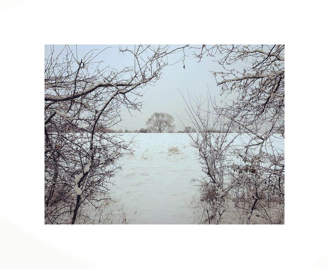 ダイアナ湯川さんのインスタグラム写真 - (ダイアナ湯川Instagram)「Nothing like some magical snow for the soul 🙏🏼 . . . . #snow #snowday #sunday #beauty #nature #mothernature #winter #home #cotswolds」1月25日 5時07分 - diana.yukawa