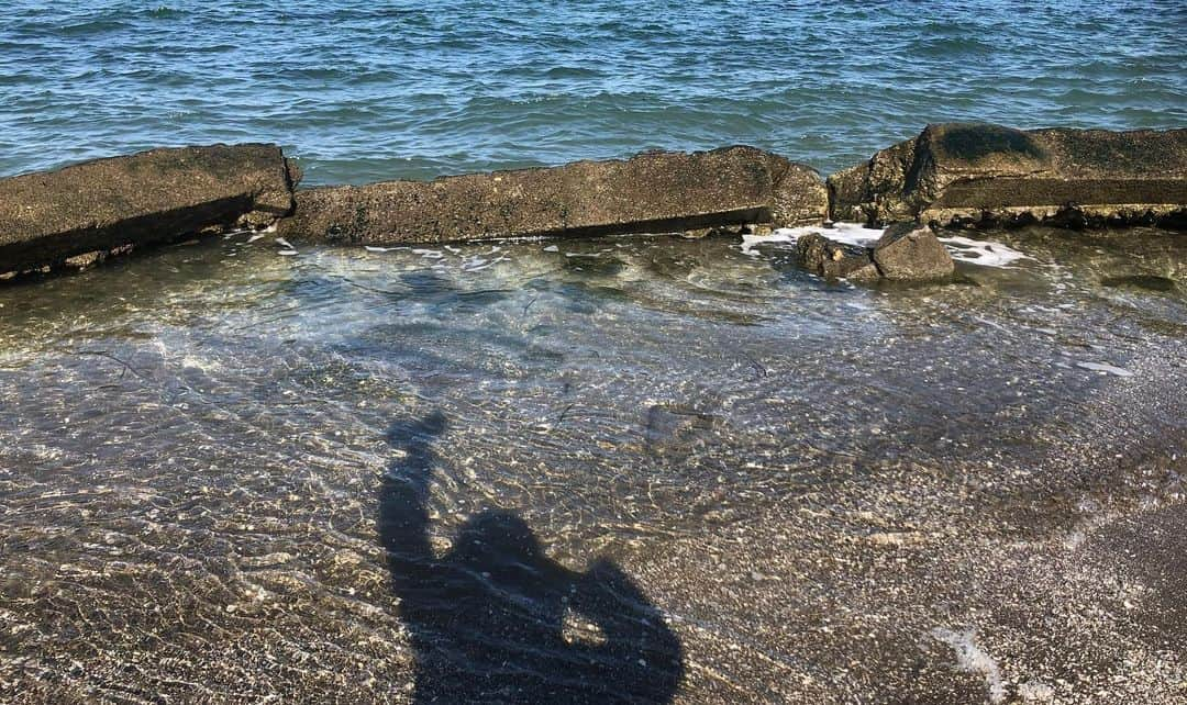 小野真弓さんのインスタグラム写真 - (小野真弓Instagram)「おはようございます☺️ 富津岬でわん散歩🌊 ハナハル担いで、てっぺんまで登りましたよ🙋🏻‍♀️🐶🐶 想像以上の展望に！気分爽快でしたー*\(^o^)/*🐬 誰もいないし、叫んじゃう🌊 良い一日を〜😆😷 今日は晴れるかな🌈✨  #富津岬#海散歩#海#ひと気のないところ巡り #和菓子#テイクアウト#バカ最中#バカ貝#わん散歩#千葉すたぐらむ#チワワ#チワマル#犬のいる暮らし#千葉暮らし 📺 本日夜8時からは、 テレビ東京 『警視庁ゼロ係〜生活安全課なんでも相談室〜出張捜査スペシャル』 是非ご覧くださーい( ´ ▽ ` )」1月25日 6時04分 - hanaharuaroi