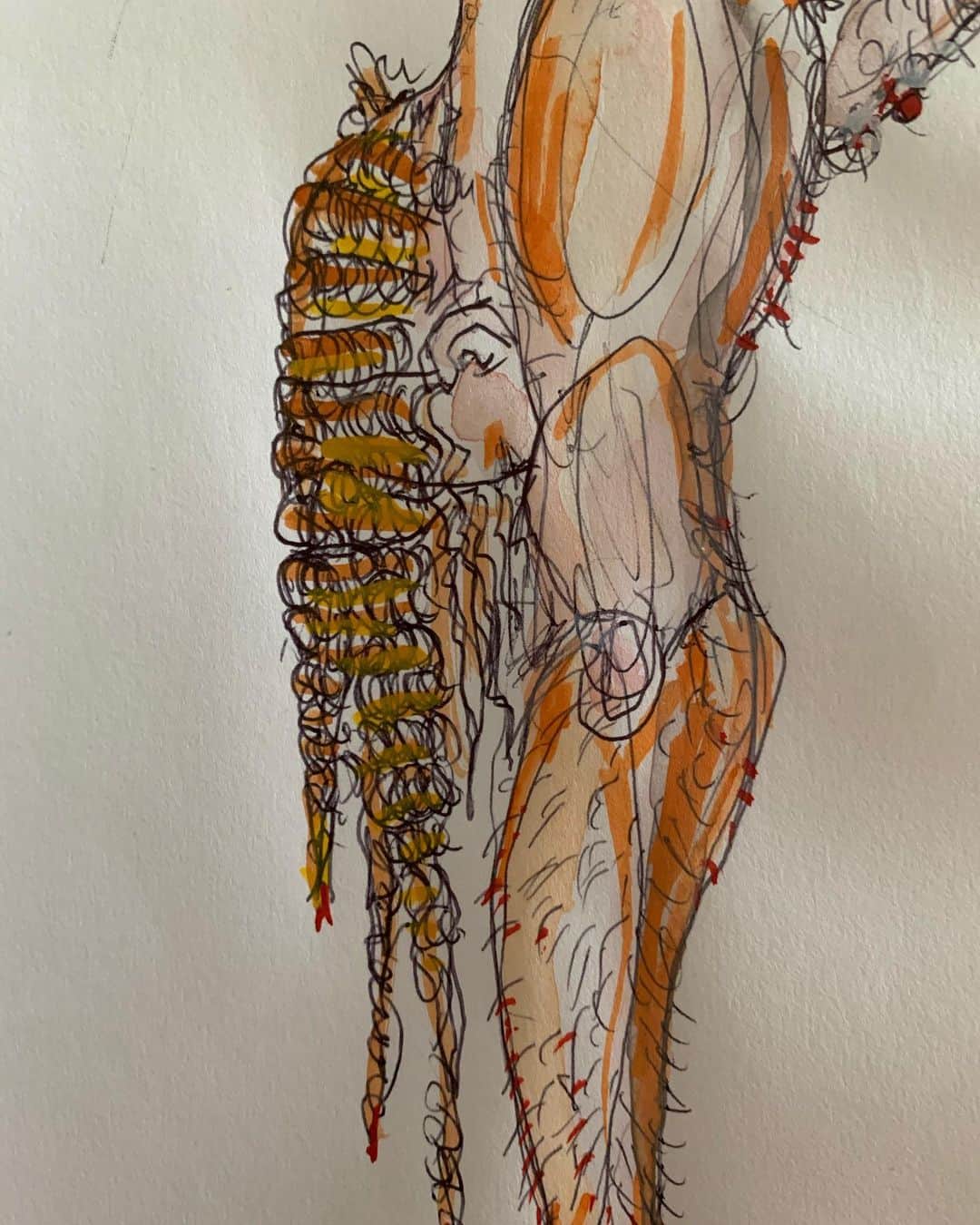 JULIEN D'YSのインスタグラム：「#drawing#project #aquarelle #nude #carnetjuliendys 💫#janvier24.2021」