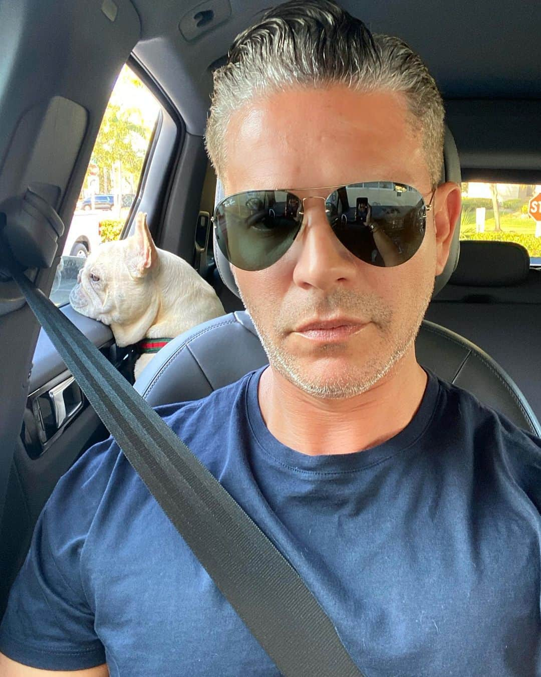 Rodner Figueroaさんのインスタグラム写真 - (Rodner FigueroaInstagram)「Feliz Domingo!!! Napoleon y yo nos tomamos un selfie en el estacionamiento de la farmacia mientras esperamos a @ernestomathies #selfie with my baby over my shoulder while we wait for #ernestomathies in the Phramacy parking lot!!! 😎🐶 #napoleonandcarlota #parkinglotselfie」1月25日 6時29分 - rodnerfigueroa