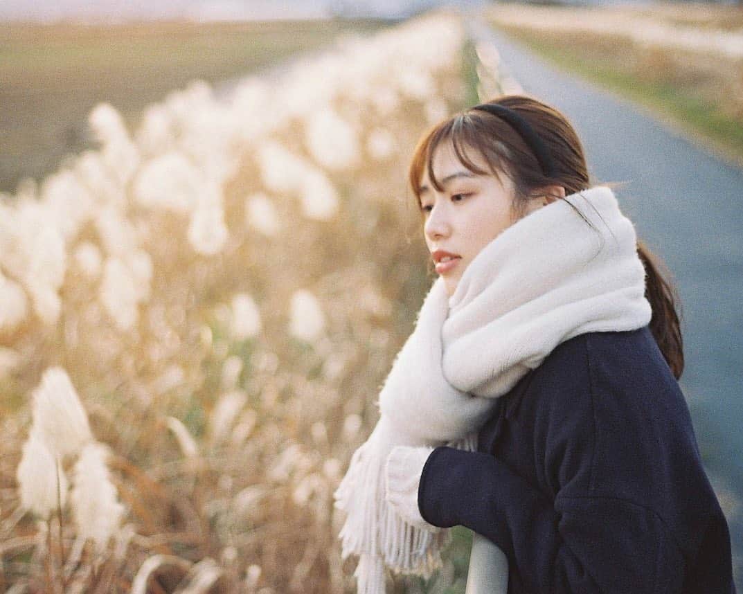 のインスタグラム：「. . . ▶︎▶︎▶︎ Swipe . . 土日とも天気悪過ぎでした☔️ 今日はめっちゃ快晴😑 . 今週、やることたくさんあって、憂鬱な月曜日💦 . 撮影日 : 2021年1月3日 . #まさ35 #ヤマプリ #35mm #contax #contaxrx #planar #instagramjapan #igersjp #tokyocameraclub #team_jp_  #art_of_japan_ #photogenic_jp #good_portraits_world #film_jp #film #フィルム #filmcamera #filmphotography #portrait #ポートレート #photogram_archive #todays_blue_collection #team_jp_ #shiga #滋賀 #何気ない瞬間を残したい #jp_portrait部 #ススキ #夕焼け #sunset」