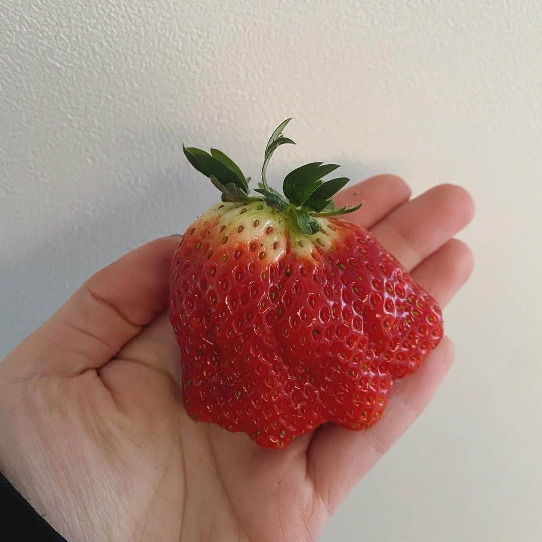 鞘師里保さんのインスタグラム写真 - (鞘師里保Instagram)「🍓🤔」1月25日 8時12分 - riho_sayashi_insta