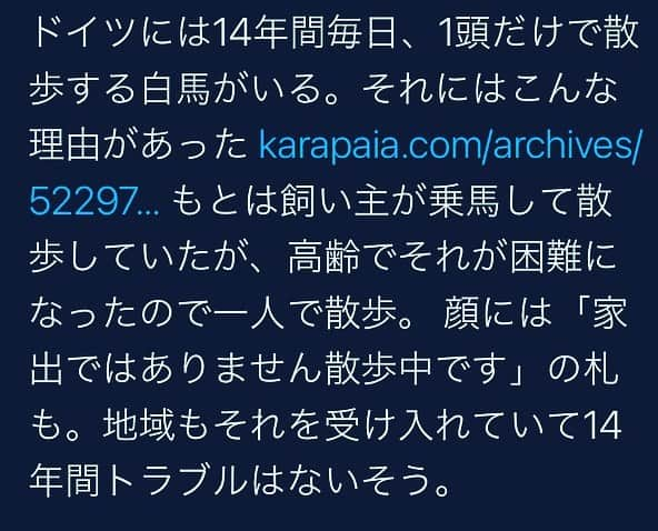 井手智のインスタグラム