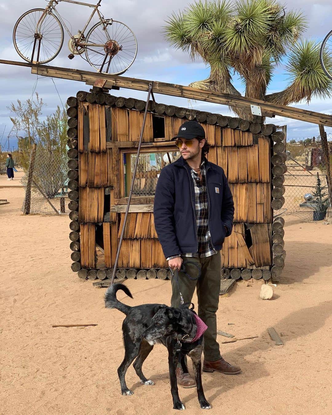 ジャック・ファライーのインスタグラム：「Desert dog」