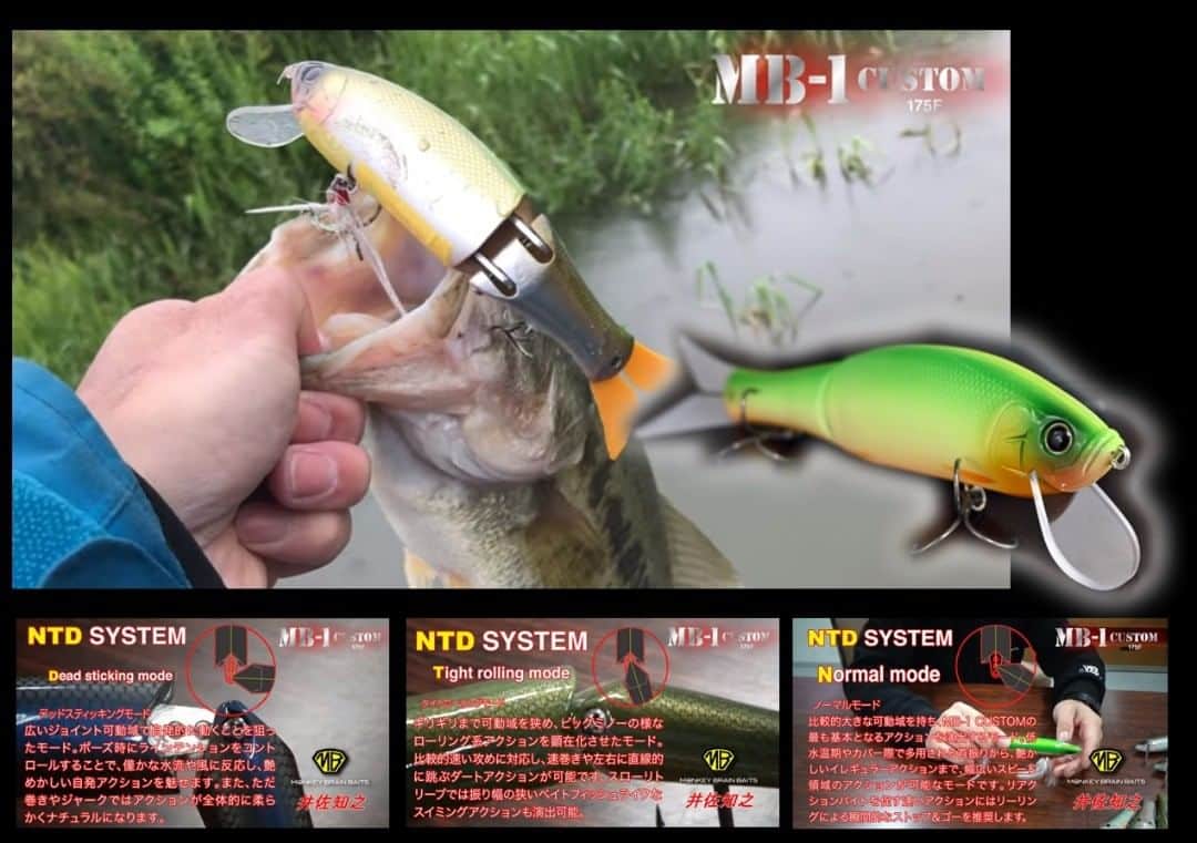 LureNews.TVのインスタグラム