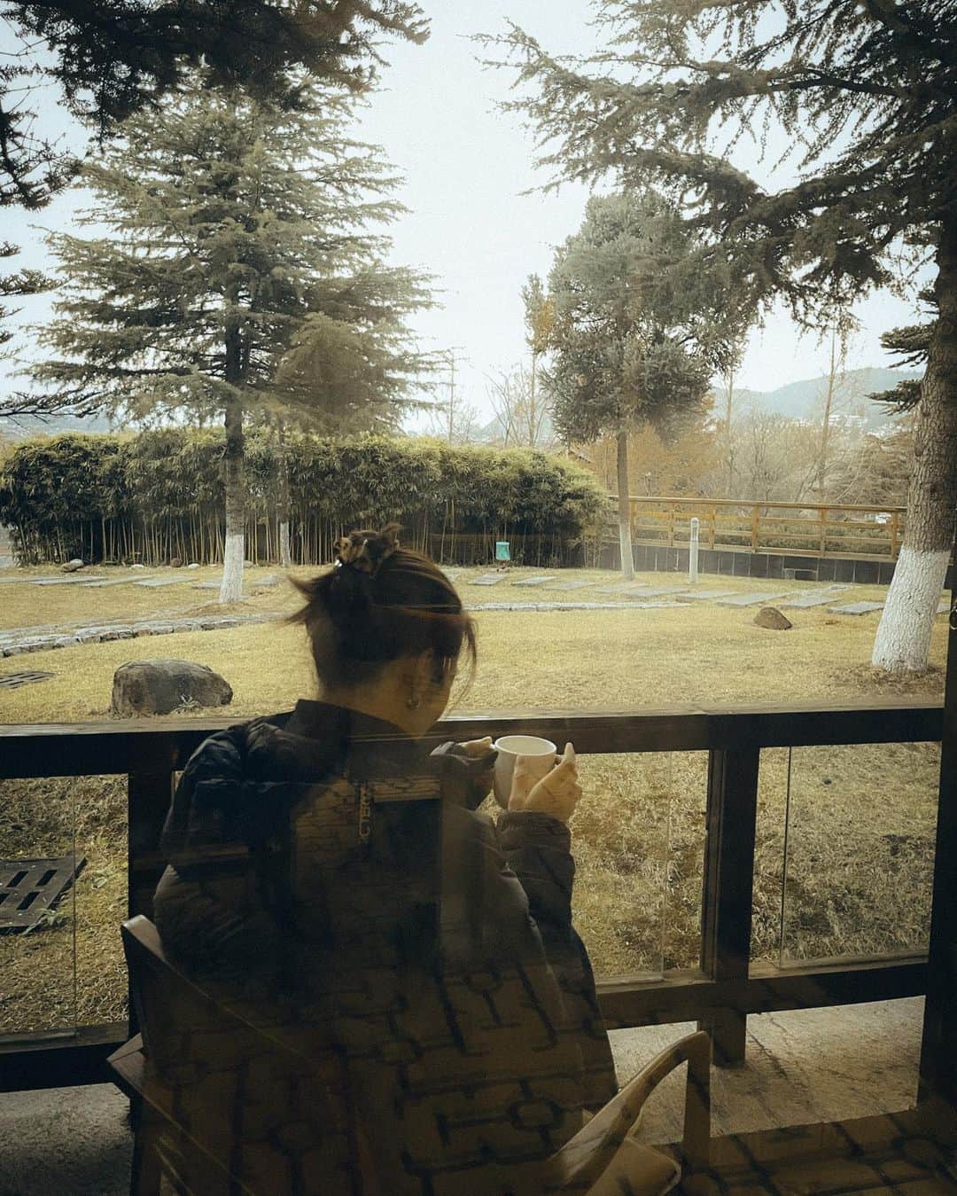 リウ・ウェンのインスタグラム：「A morning」