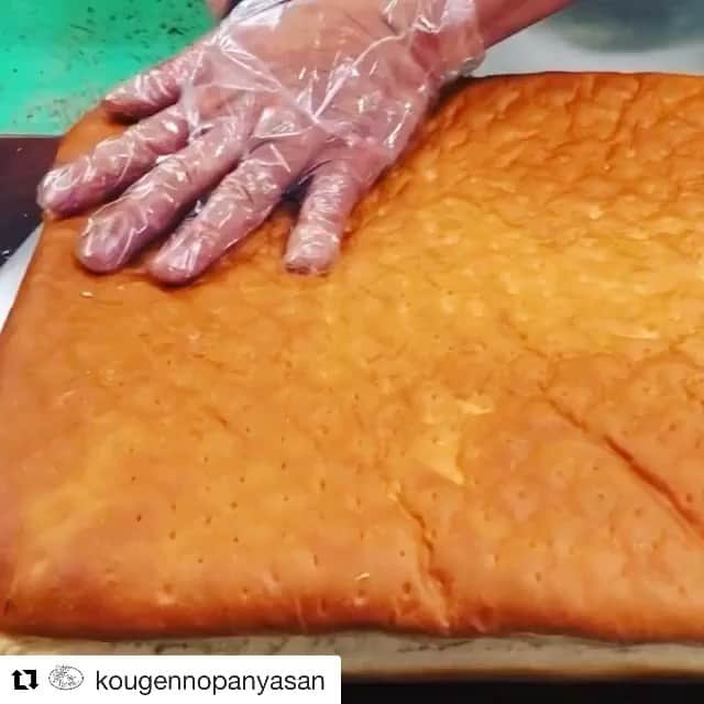 飯沼誠司のインスタグラム