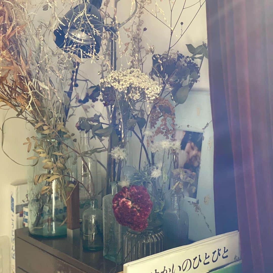 浜島直子さんのインスタグラム写真 - (浜島直子Instagram)「なんていい天気✨ 1週間がんばるぞー！ ・ #nofilter  #花瓶の奥には #貞子に襲われている #ピピちゃんの写真が🐶」1月25日 10時07分 - hamaji_0912