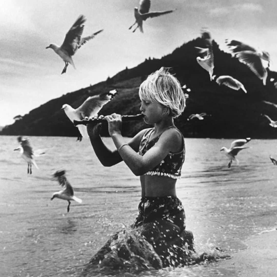 Meganさんのインスタグラム写真 - (MeganInstagram)「Seagulls & girl 〰 photo by Marti Friedlander, Coromandel, New Zealand, 1966  . . . . #martifriedlander #coromandel #coromandelpeninsula #newzealand #seagulls」1月25日 10時08分 - zanzan_domus