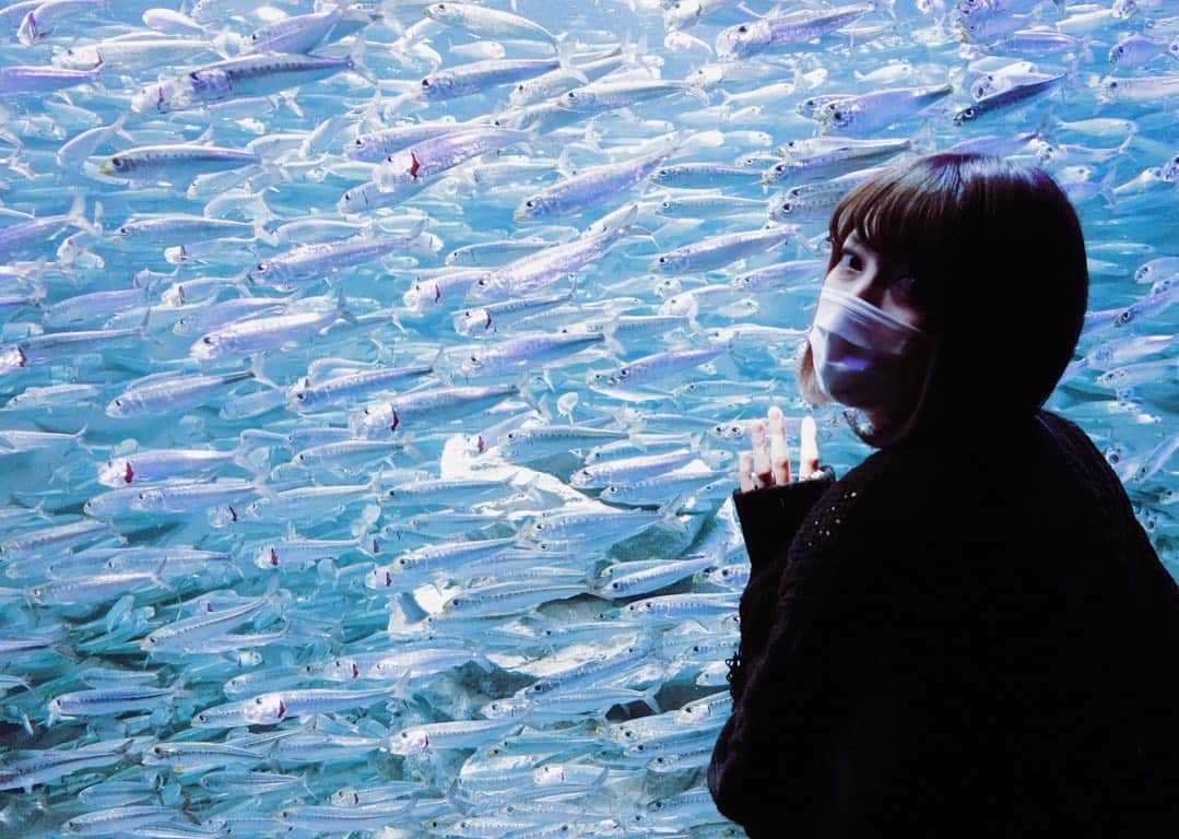 SHIZUKAのインスタグラム：「. At an aquarium with few customers. They still have to feed marine mammals and fish every single day. How? They don’t deserve this fucking situation. . If it’s open, you can still go. If it’s not, you can make a donation for🦦🦭🐬🐳🐧🐠」