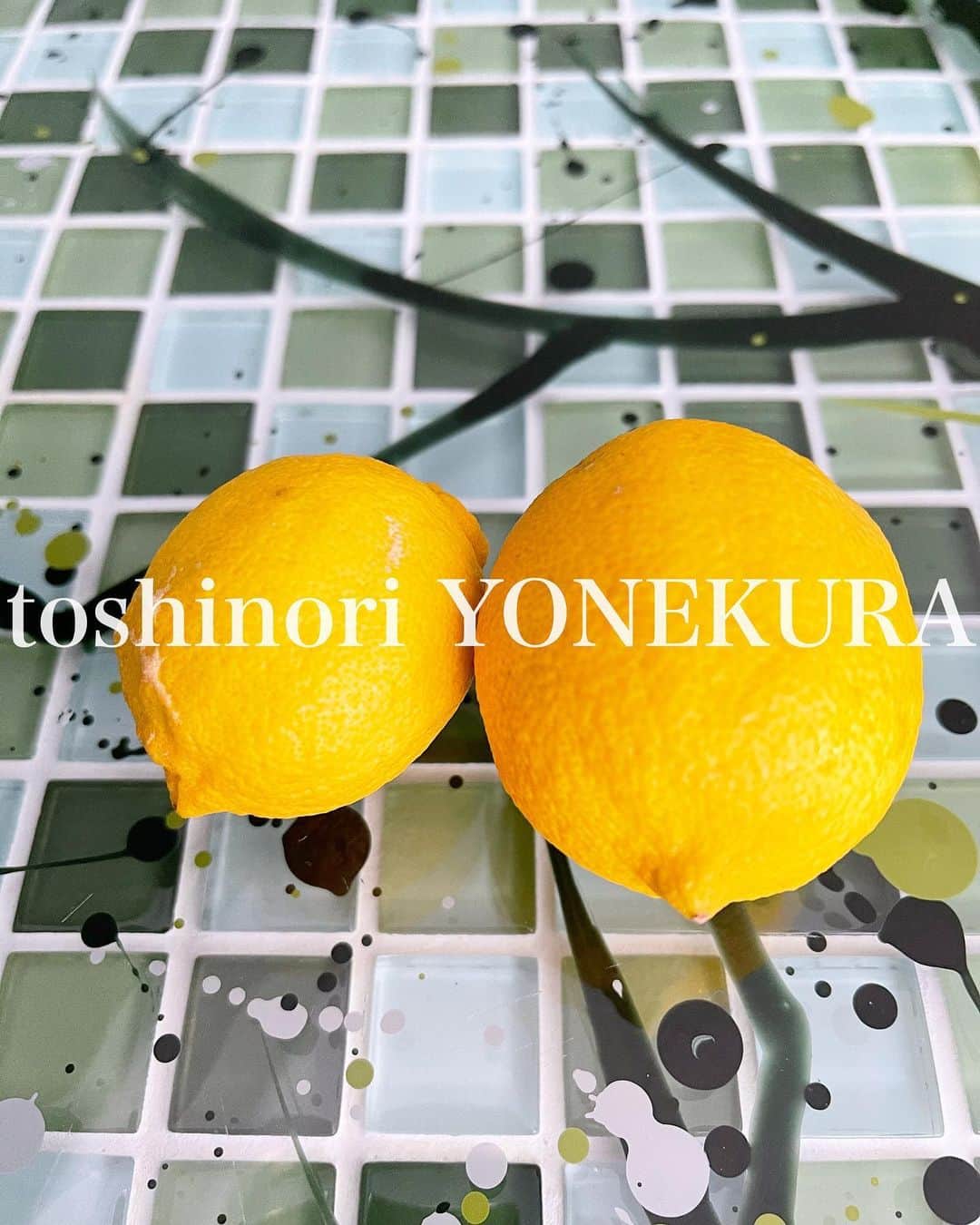 のインスタグラム：「home garden: lemon」