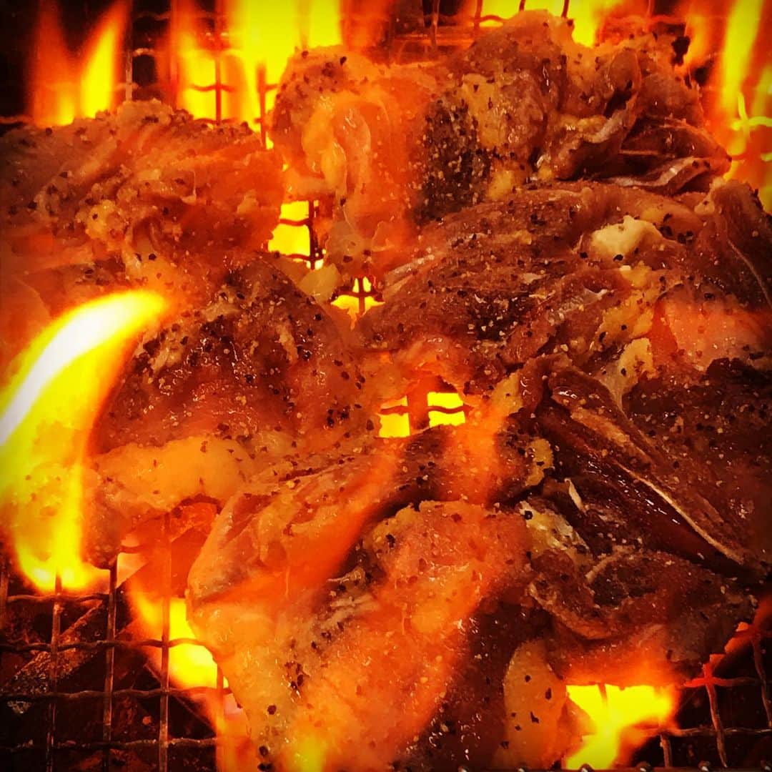 うまかもん九州料理 九州魂天王寺店のインスタグラム：「まいど九州魂（くすだま）天王寺店です！  九州地鶏のチョイ炙り焼き！的なやつ！  柚子胡椒つけたら酒が止まりまへんわ！  明日も、ご来店お待ちしてますぜ！  #阿倍野居酒屋 #阿倍野グルメ #天王寺グルメ #天王寺居酒屋 #B級グルメ #九州居酒屋 #博多もつ鍋」