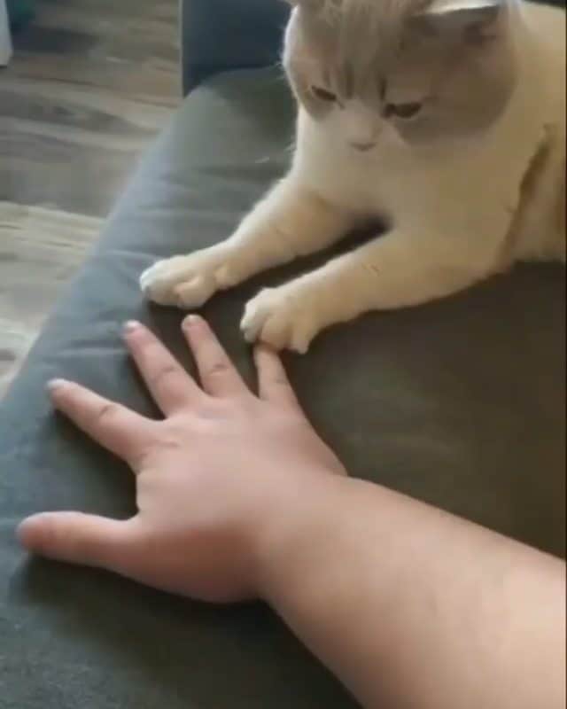 のインスタグラム：「🤣🤚🖐️🤚🖐️ Tag your friends」