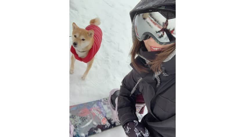 本条舞さんのインスタグラム写真 - (本条舞Instagram)「雨の中付き合ってくれたころちゃん❤️  ちょっとオシャレに動画編集してみたけど、まだまだヘッポコスノーボーダー。 撮ってくれたみんなありがとう☺️  #本条舞 #女優 #役者 #モデル #タレント #ピアニスト #model #actor #actress #pianist  #snowboard #snowboarding #カービング #カービング女子 #カービング練習中 #地形遊び #バンク #volcom  #スノボ女子 #豆柴  #柴犬 #mameshiba  #shibainu #pet #japan #kawaii #dog  #犬のいる暮らし #shiba_snap  #시바」1月25日 21時27分 - mai_honjyo_official