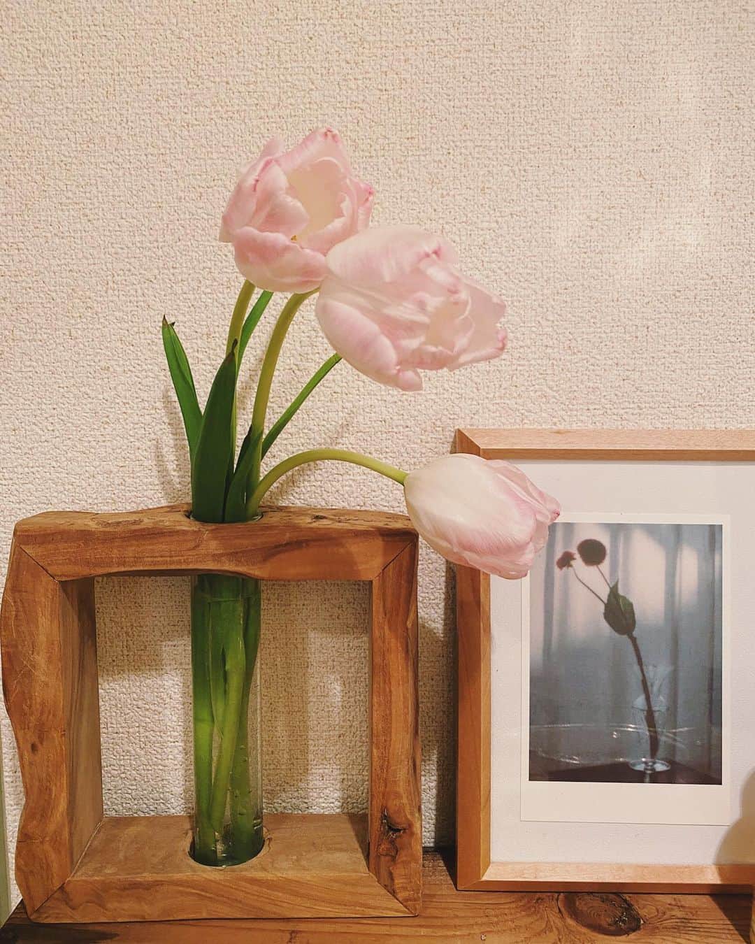 高橋美穂さんのインスタグラム写真 - (高橋美穂Instagram)「.﻿ 可愛い薄ピンク色のチューリップが咲いた🌷﻿ ﻿ 本日はお休みいただいてます🙏🏻✨﻿ ﻿ #mihoc_room #room #interior」1月25日 13時58分 - sleeping0mihoc