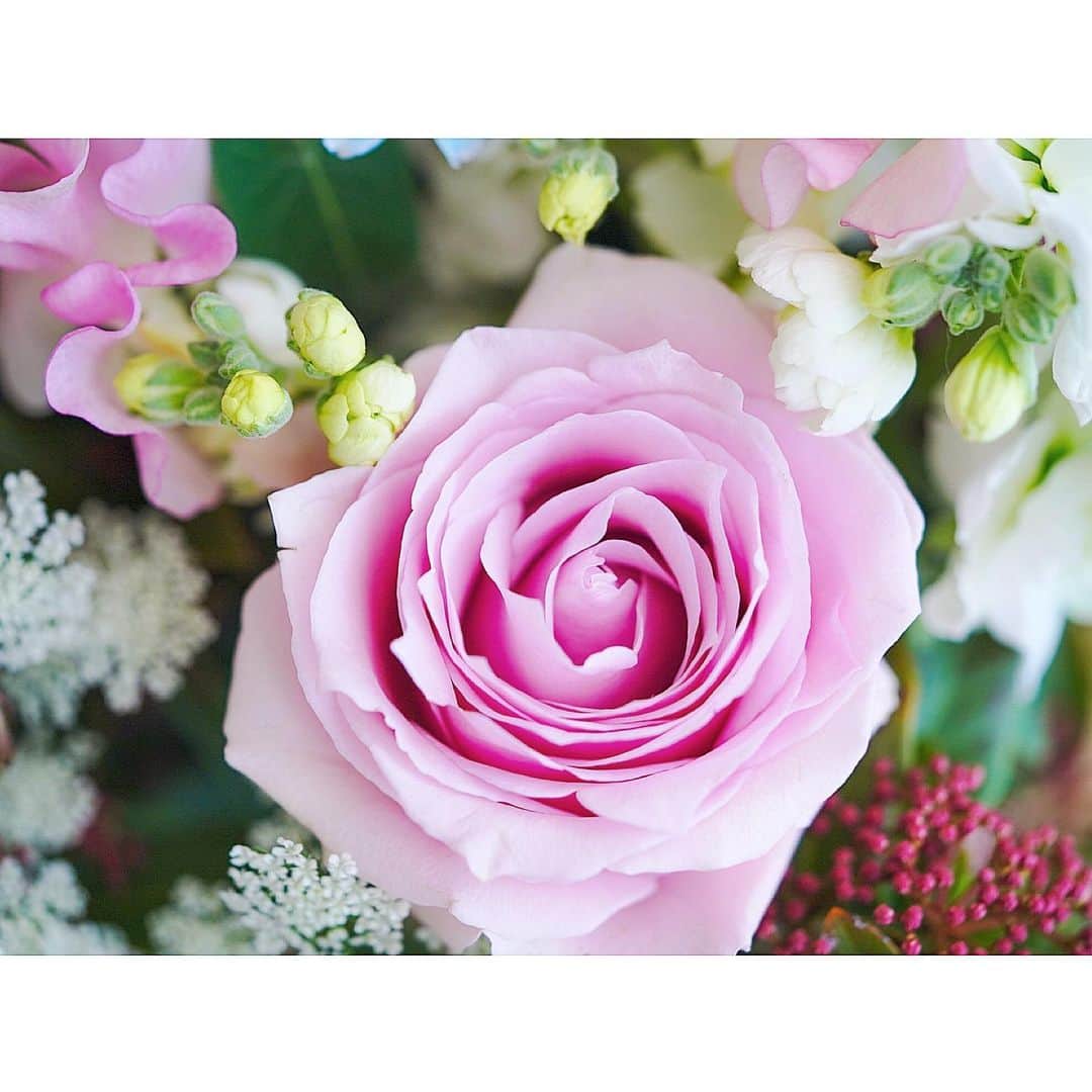 石井美保さんのインスタグラム写真 - (石井美保Instagram)「クライアント様からいただいたお花。 昨日までと打って変わってお天気に恵まれた撮影で、気分も晴れ晴れ。」1月25日 14時30分 - miho_ishii