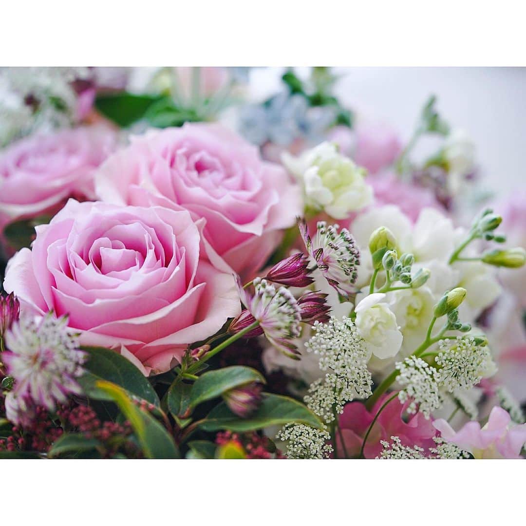 石井美保さんのインスタグラム写真 - (石井美保Instagram)「クライアント様からいただいたお花。 昨日までと打って変わってお天気に恵まれた撮影で、気分も晴れ晴れ。」1月25日 14時30分 - miho_ishii