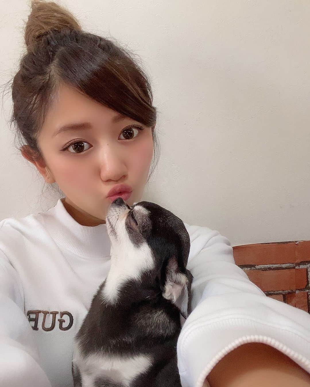 あやなのインスタグラム：「少し前ですが、また新しい家族が増えました🐶はなちゃんです❤️ . りんちゃんと同じで人懐っこくて甘えん坊でめっちゃ可愛い🥰 . やっとりんちゃんとも仲良くできるようになってきたみたい(*^ω^*) . チワワって可愛いね💕 . . #チワワ #スムースコートチワワ #ブラックタン #はなちゃん #愛犬 #新しい家族が増えました  #癒し #甘えん坊」