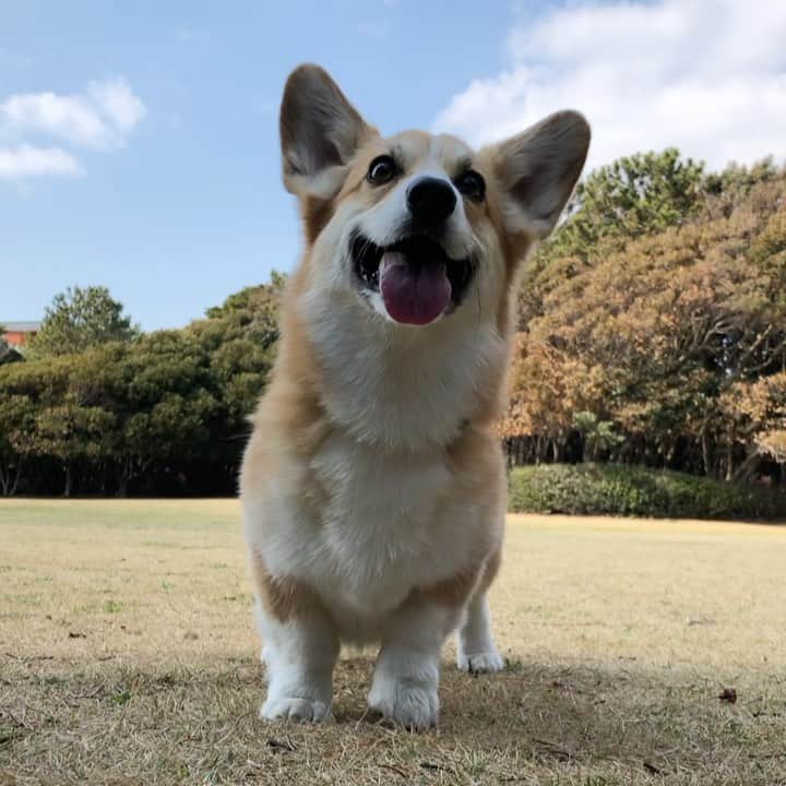 さゆりのインスタグラム：「◡̈⋆2021.1.25.Mon.◡̈⋆ I'm Happy‼️😁😁😁 * * * * * * * *」