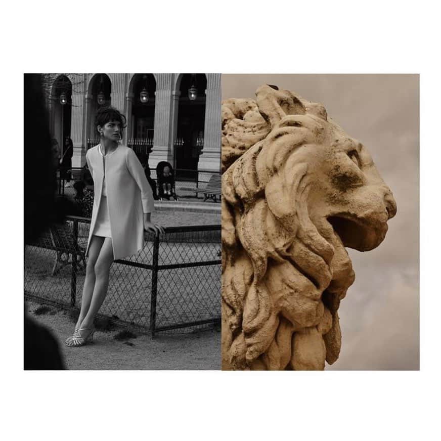 ポールカさんのインスタグラム写真 - (ポールカInstagram)「The #PauleKaPress   Lioness in @letkissmagazine  📸 @kevin.aldrich @sabine_berlipp @johannafeldmeier   #PauleKa #LetKissMagazine #editorial #fashioneditorial #parisianstyle #parisianchic #elegance」1月25日 15時51分 - paulekaofficiel