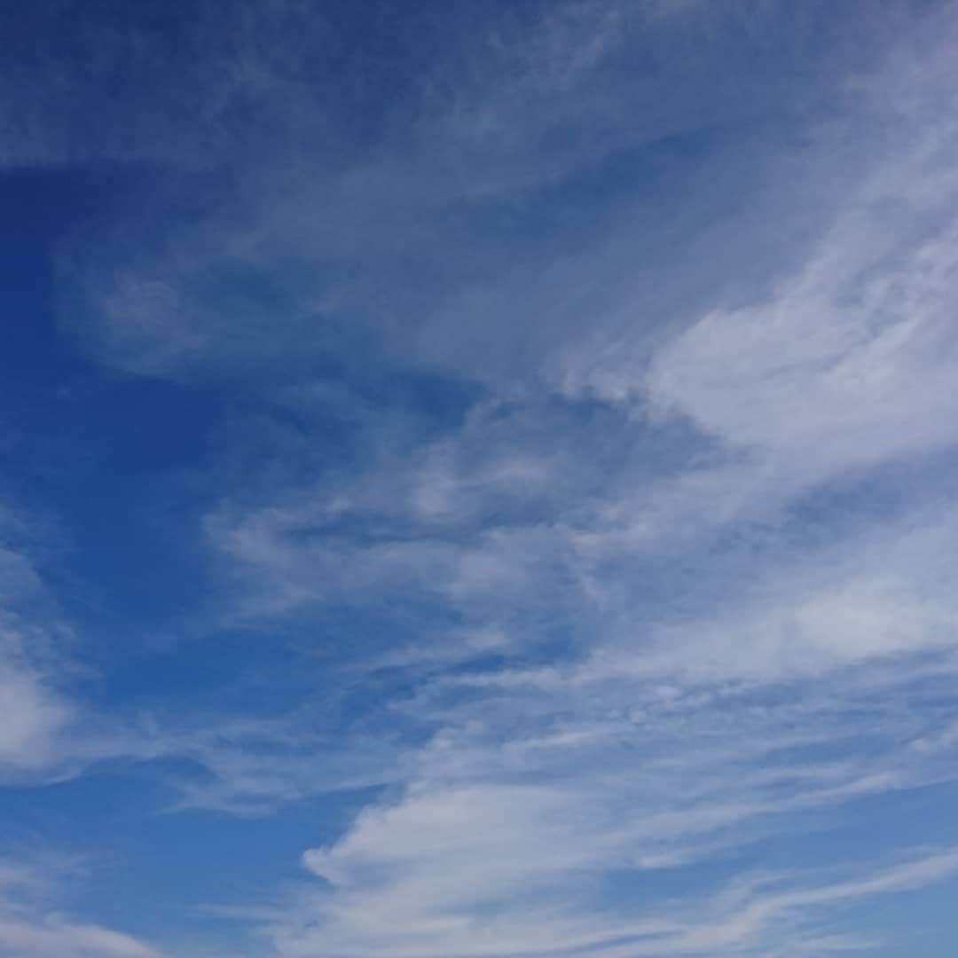 くぼてんきさんのインスタグラム写真 - (くぼてんきInstagram)「全国的に晴れ  #青い空 #白い雲 #今週は晴れたりくもったり #気温も上がったり下がったり」1月25日 15時59分 - kubotenki