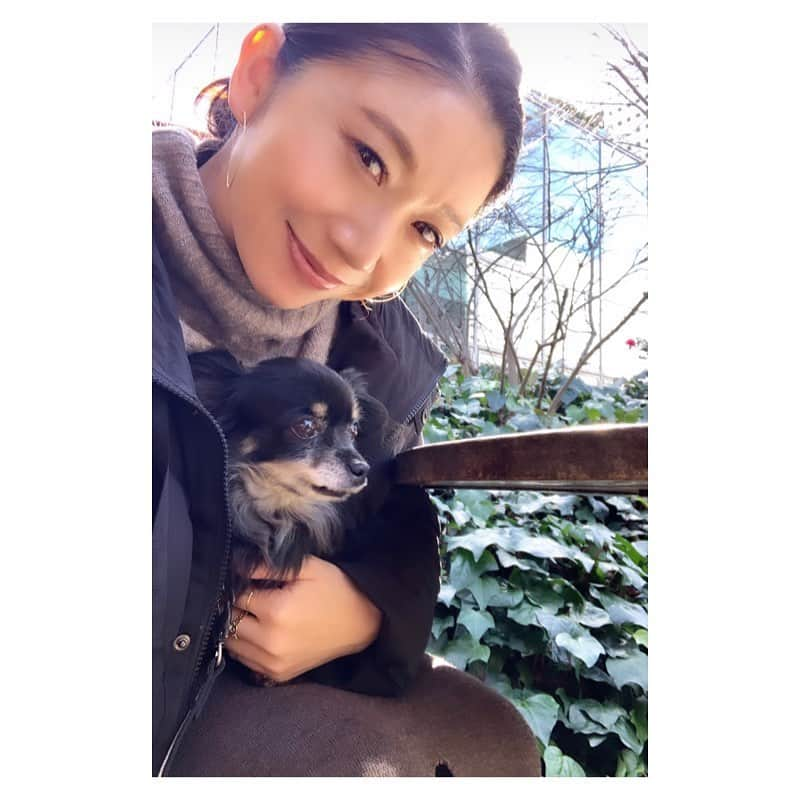 市橋有里のインスタグラム：「元気のない時はお外で ひなたぼっこ🌞 あ、犬の… わたしは元気ですw ・ #いぬとの暮らし  #ひなたぼっこ  #dogstagram  #doglover」