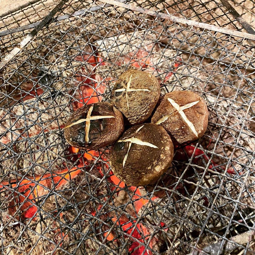 炉端焼き とろ函～とろばこ～ 堅田店のインスタグラム：「海鮮だけじゃなく野菜も焼いてます😀 #牡蠣#とろ函#堅田#滋賀#蟹#北海道 #堅田駅前#駅前#地酒＃いくら#コロナ対策 ＃炭火#炉端#飲み放題あり#gotoキャンペーン#ランチ#居酒屋ランチ#ホッケ#定食#テイクアウト」