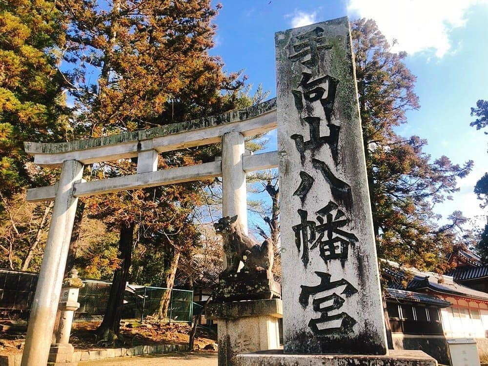 高井俊彦のインスタグラム