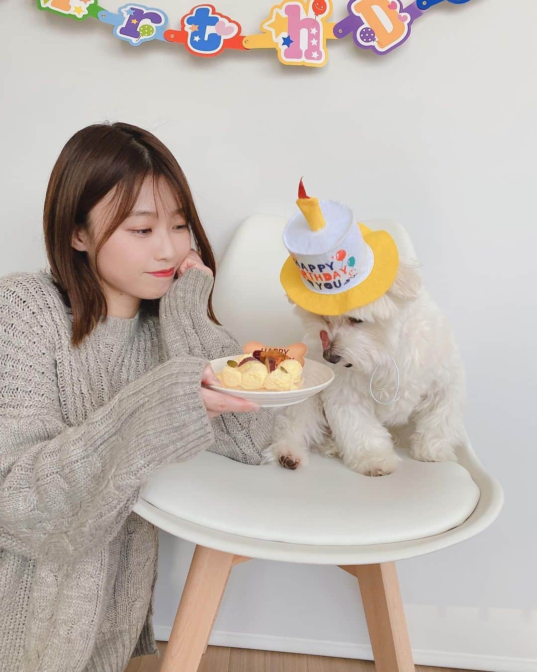 西澤由夏さんのインスタグラム写真 - (西澤由夏Instagram)「今日は、愛犬の1才の誕生日🐩❣️ 野菜ケーキでお祝いしました🎂 この1年間でだいぶムックリしちゃったから、ちょっとダイエットしていこうね。。笑 #マルチーズ #パピー #愛犬 #誕生日」1月25日 16時36分 - yknszw