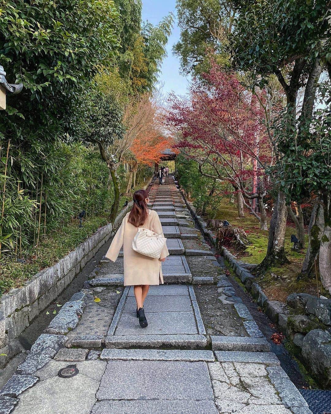 夏本あさみさんのインスタグラム写真 - (夏本あさみInstagram)「20年過ごした京都。大好きです。」1月25日 16時49分 - natsumotoasami