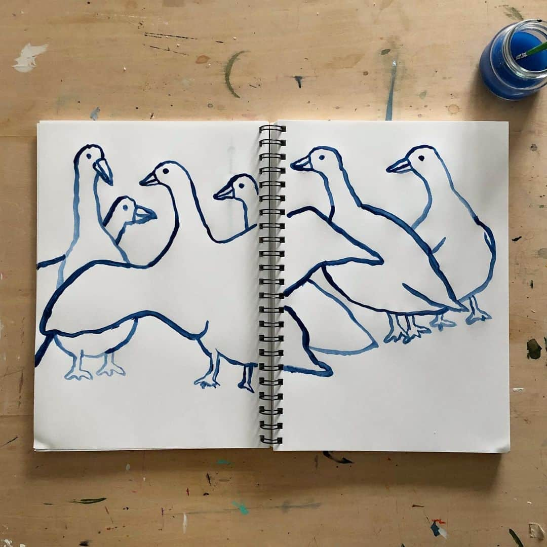 Mogu Takahashiのインスタグラム：「Chatty Swans #mogutakahashi #indigo」